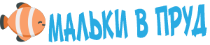 malki-v-prud.ru